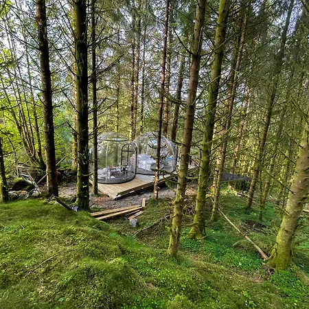 Magical Forest Haven Dome Lägenhet Bergen