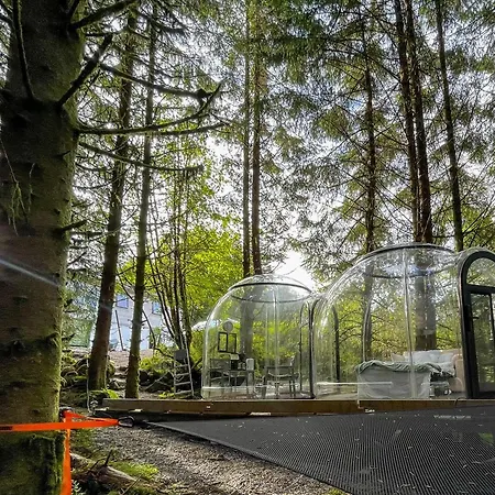 Magical Forest Haven Dome Lägenhet