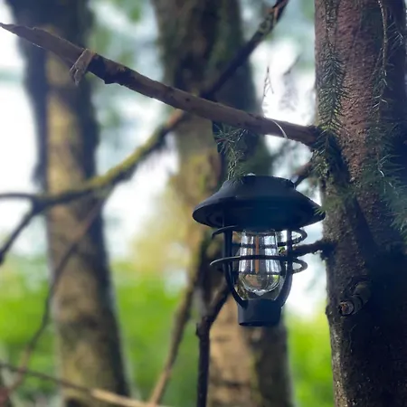 Magical Forest Haven Dome * برغن