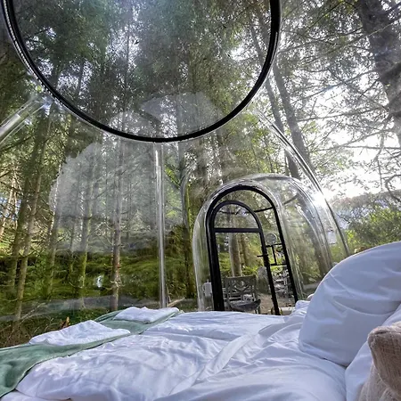 Magical Forest Haven Dome Bergen