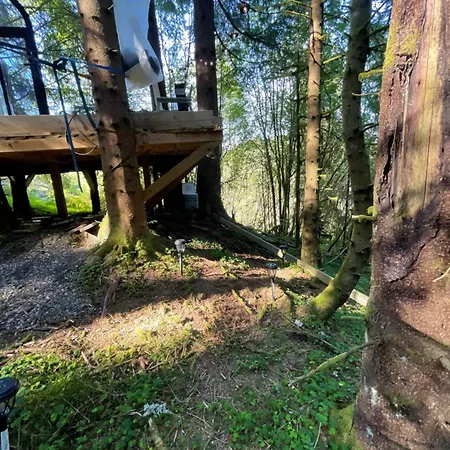 Magical Forest Haven Dome *