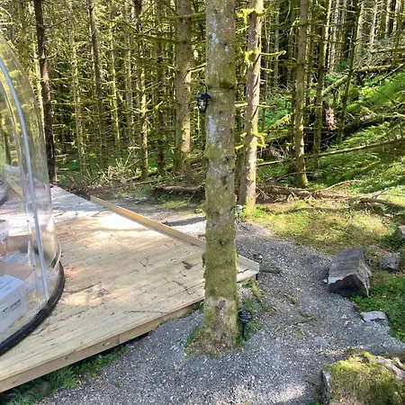 Apartment Magical Forest Haven Dome