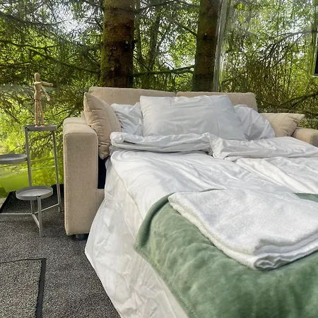 Magical Forest Haven Dome Bergen