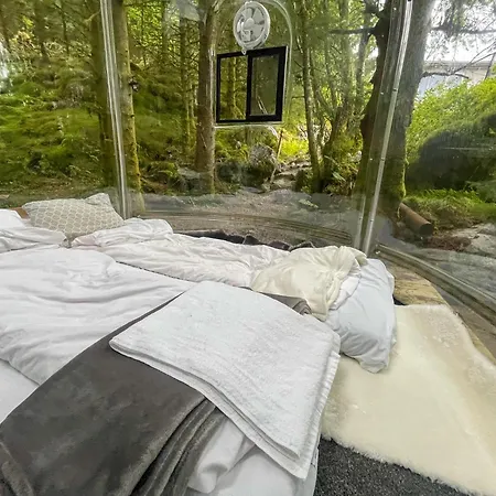Magical Forest Haven Dome Apartment *