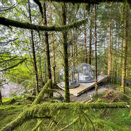 Magical Forest Haven Dome